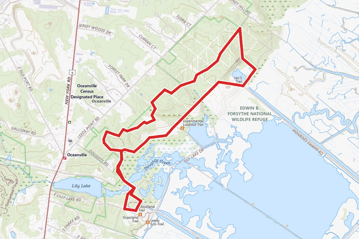 Songbird Trail Loop