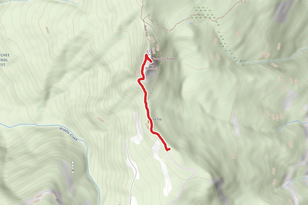 Red Top Lookout Trail