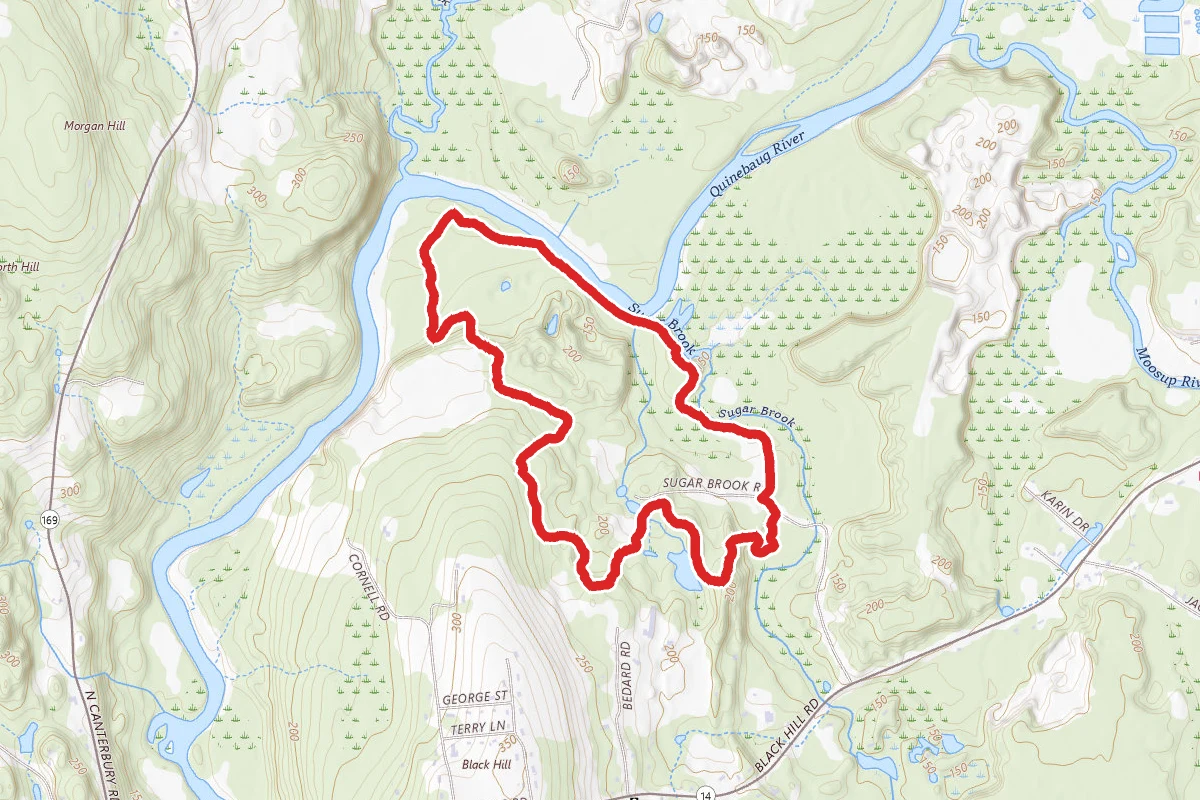 Sugar Brook Loop Trail