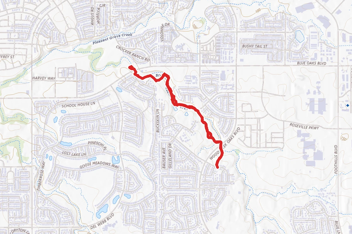 Pleasant Grove Creek Trail via Dirt Trail and Bike Path