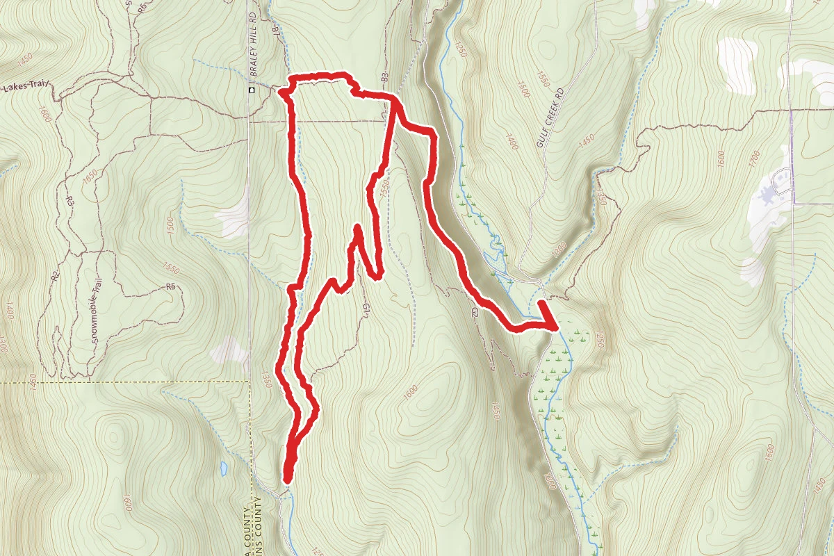 Shindagin Hollow State Forest Trails