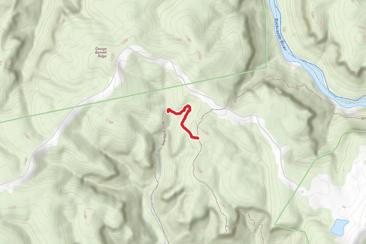 Bee Rock Loop