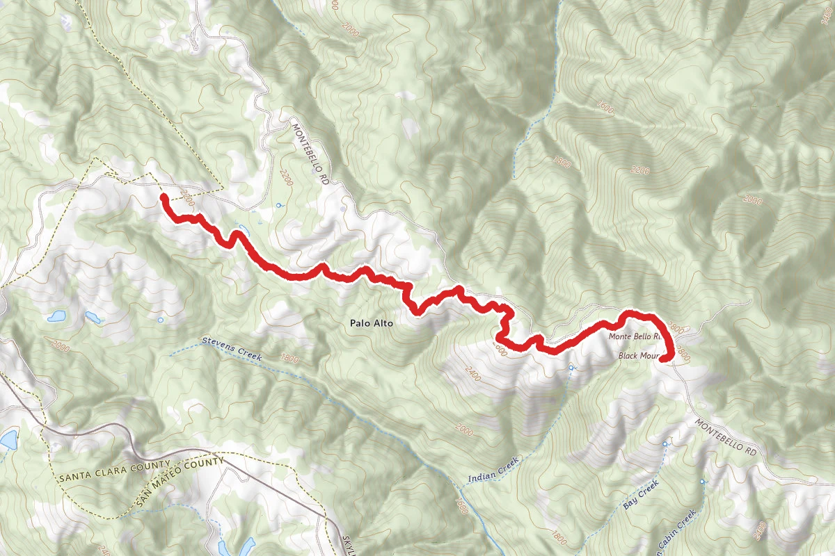 Black Mountain via Old Ranch, Bella Vista and Canyon Trail