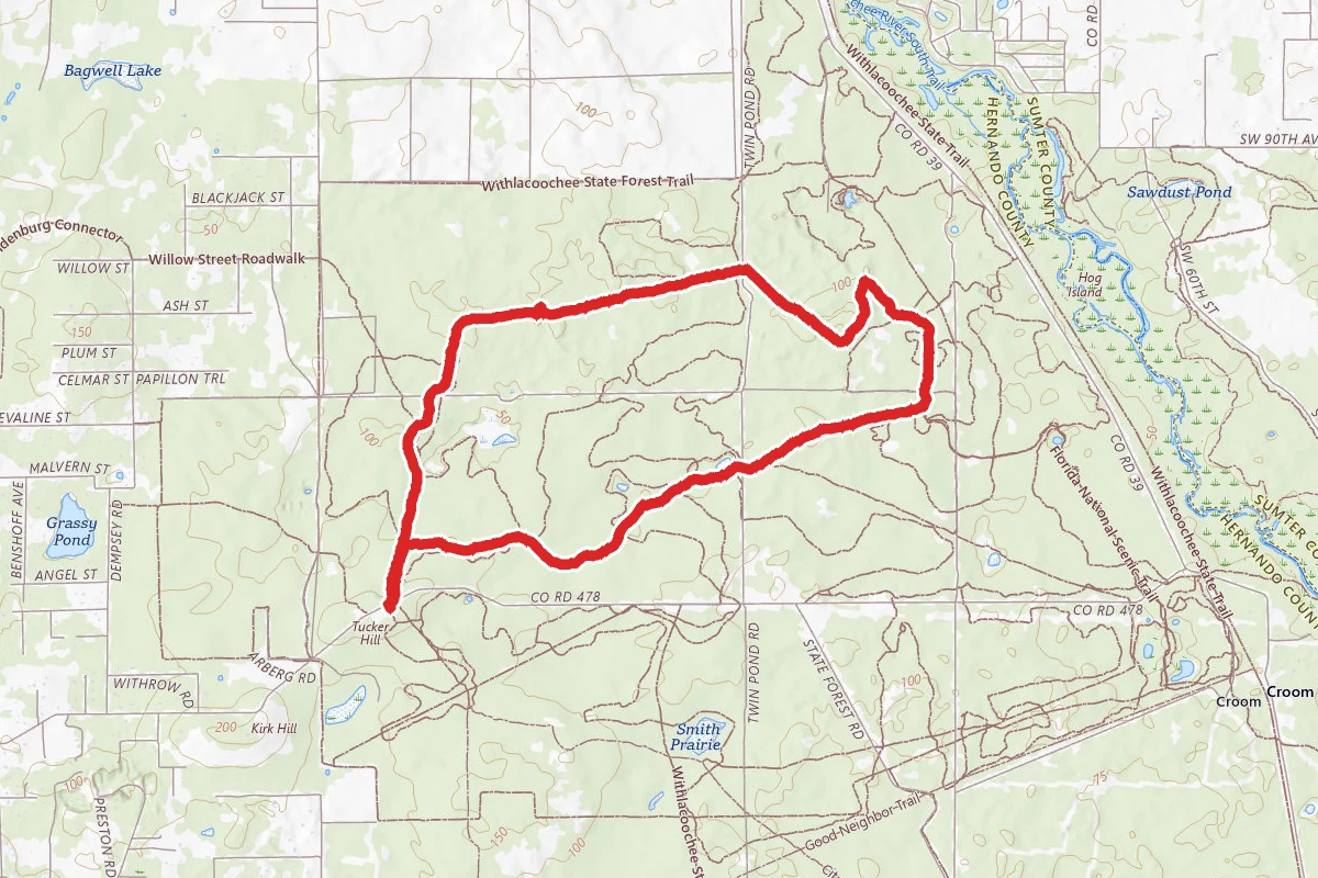Croom Trail North Loop