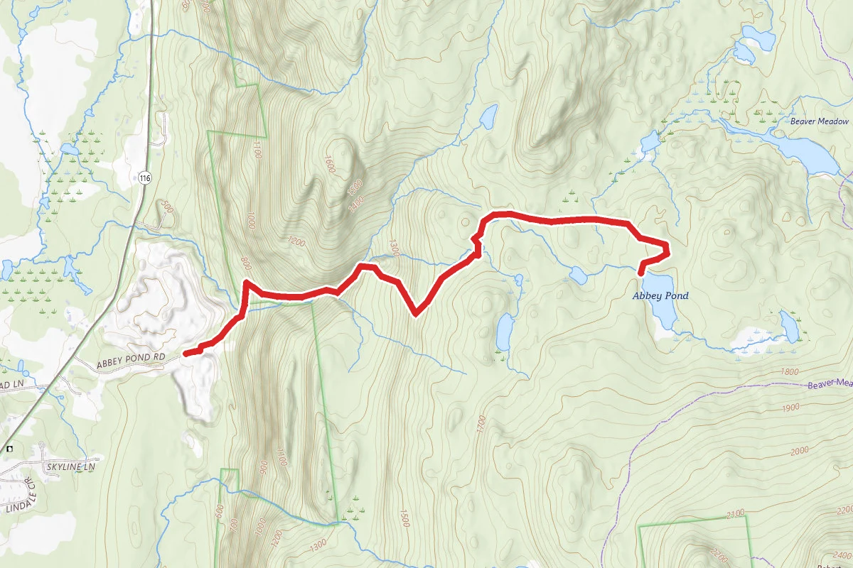 Abbey Pond Trail