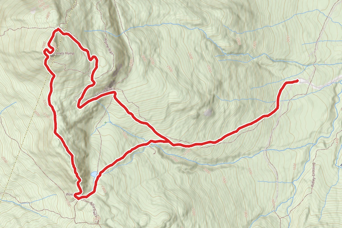Camel's Hump via Long Trail Loop