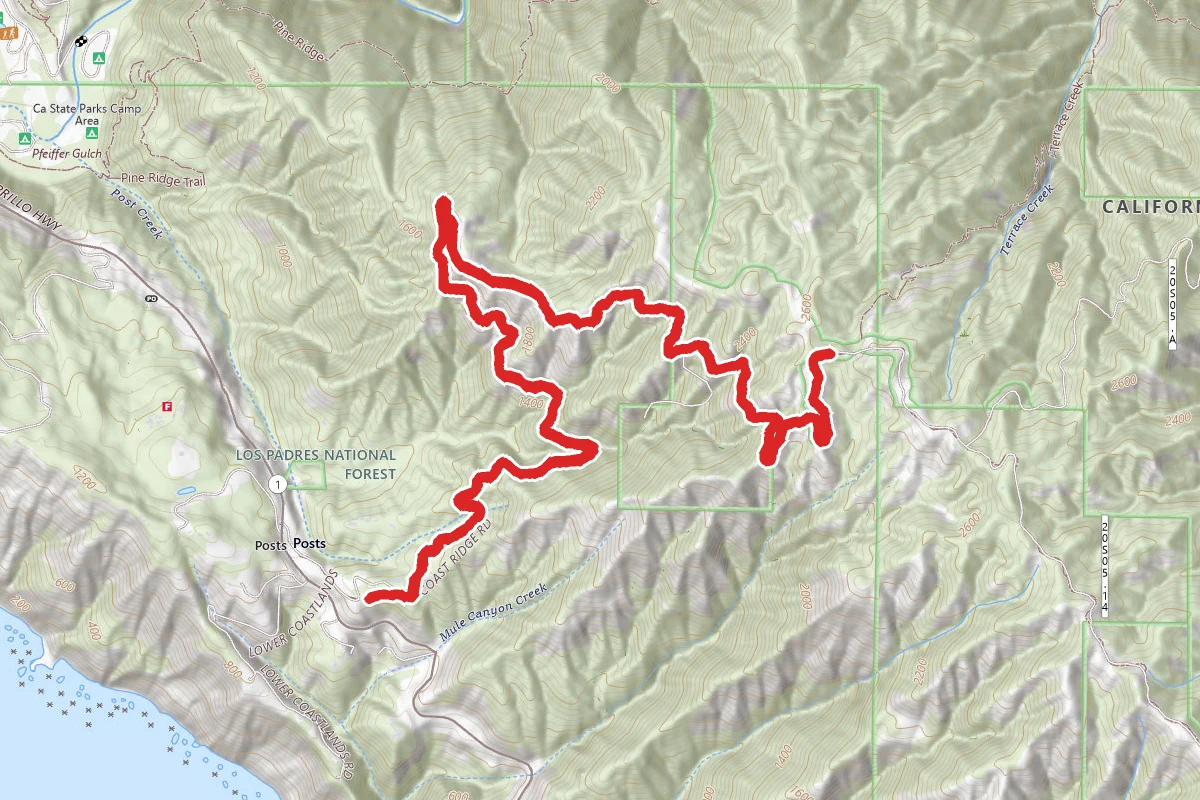 Coast Ridge Road to Terrace Creek Trail