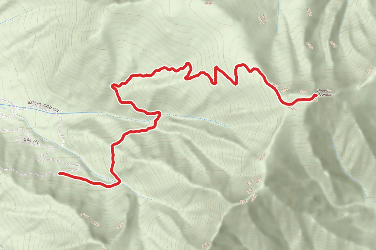 Three Top Mountain Trail