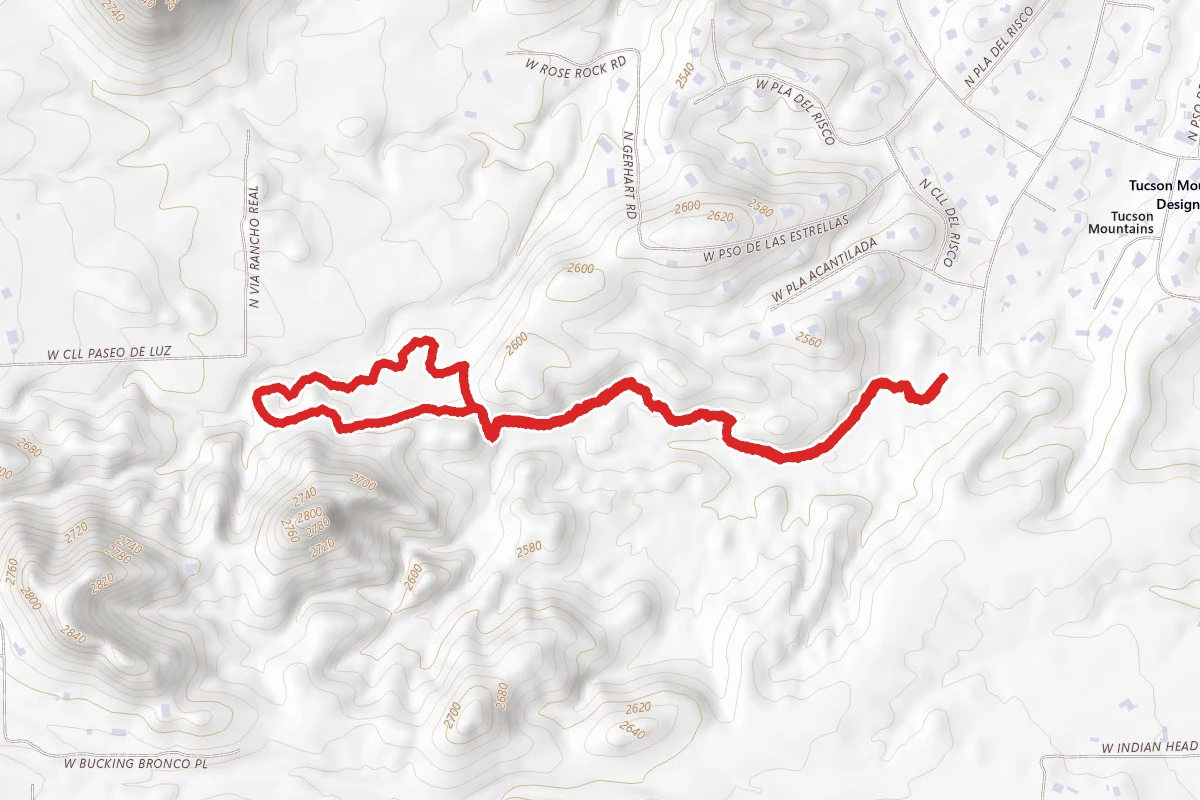 Saguaro Vista Trail Loop