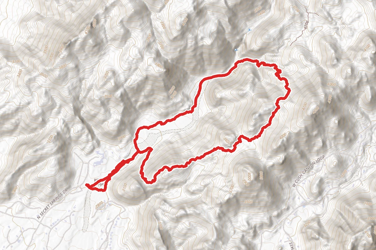 Wild Burro Spur Trail Loop