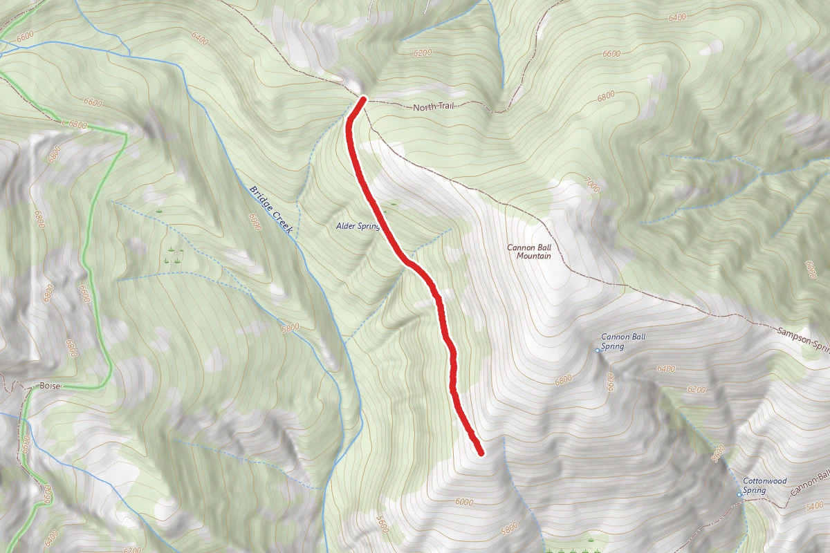 Alder Springs