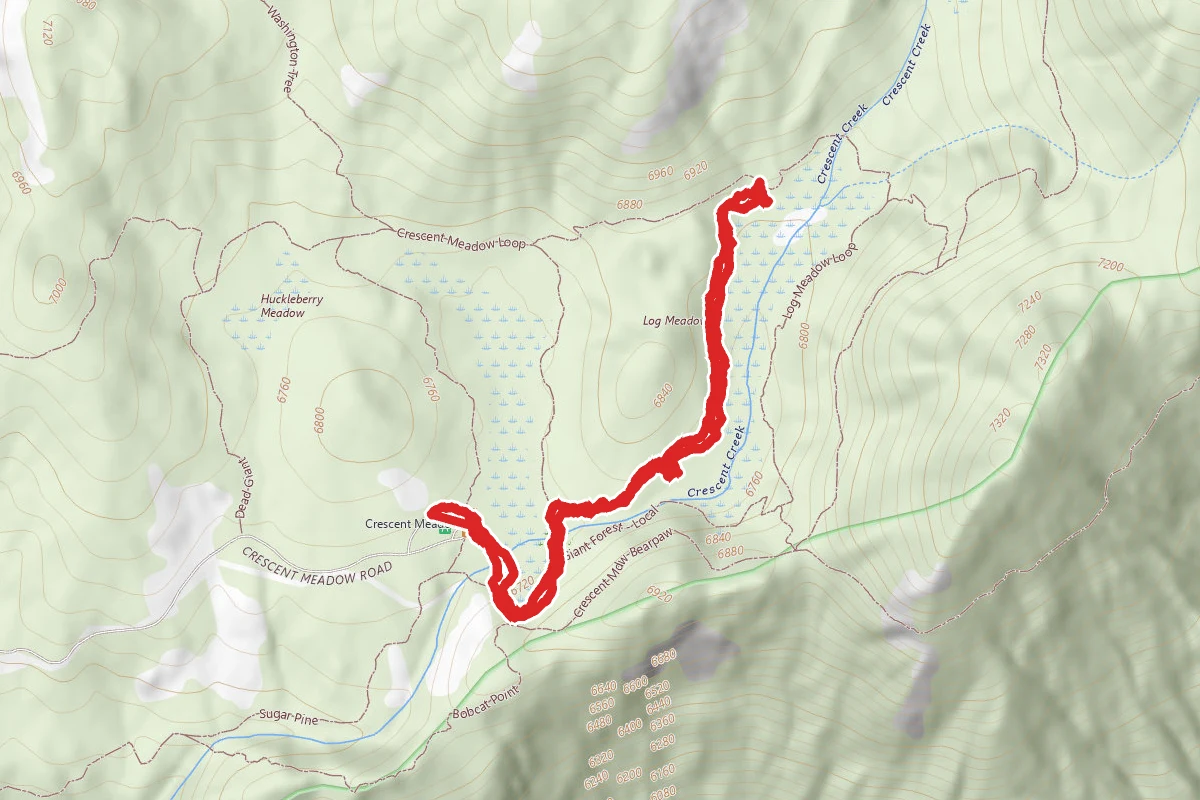 Tharp's Log Trail