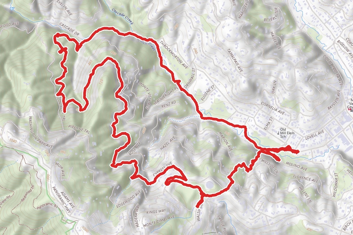 Cypress Trail and Dipsea Stairs Loop