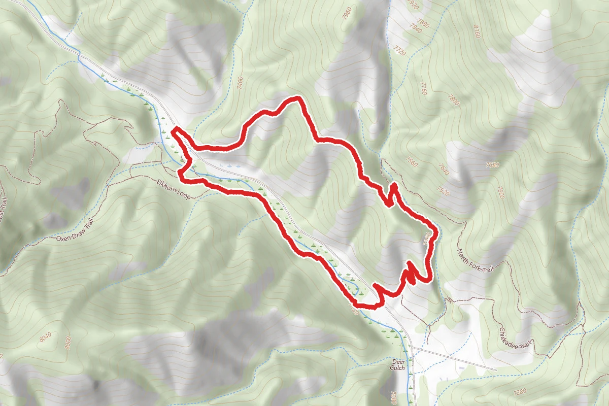 Hummingbird and Songbird Loop Trail