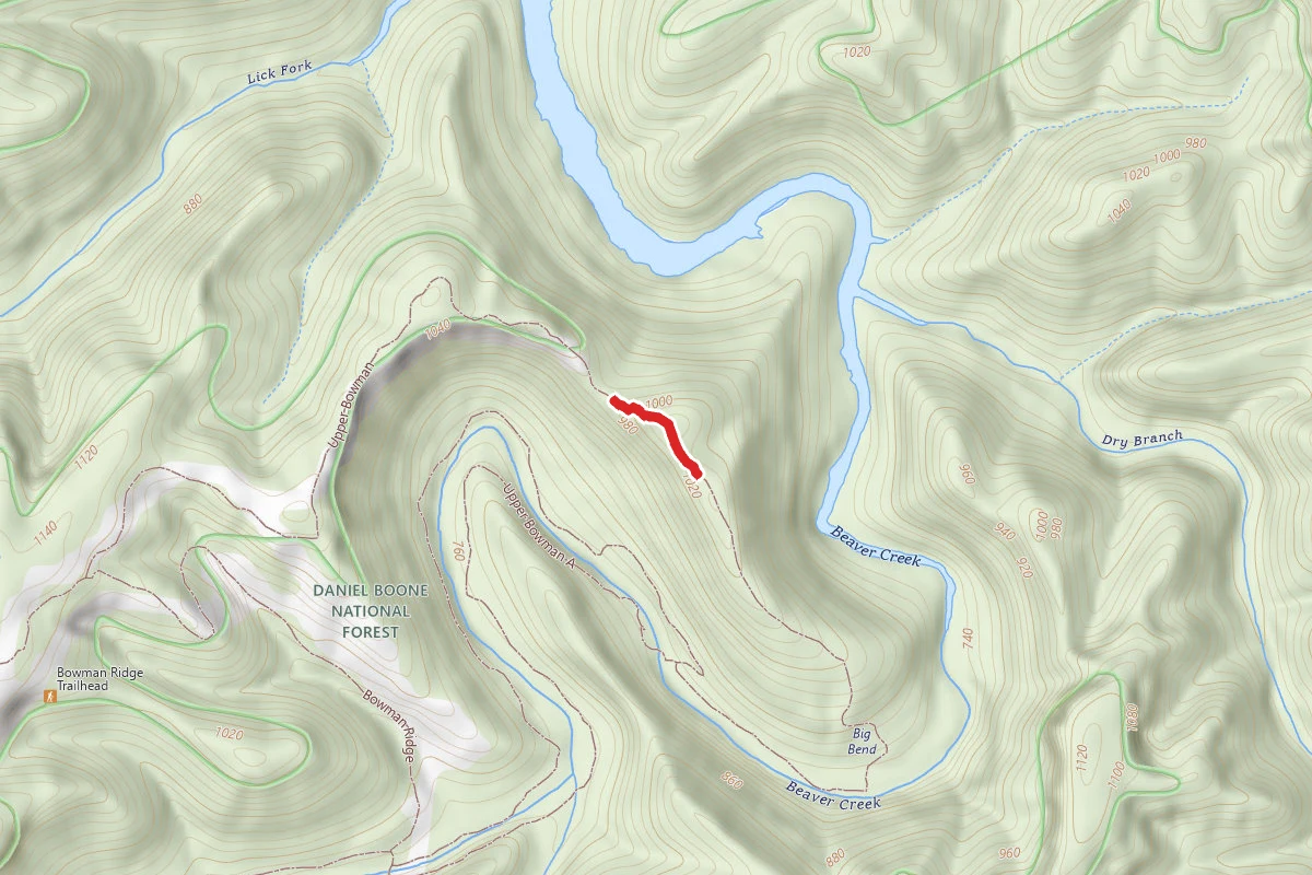 Upper Bowman