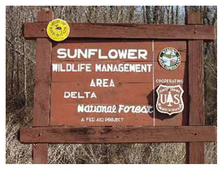 Delta National Forest