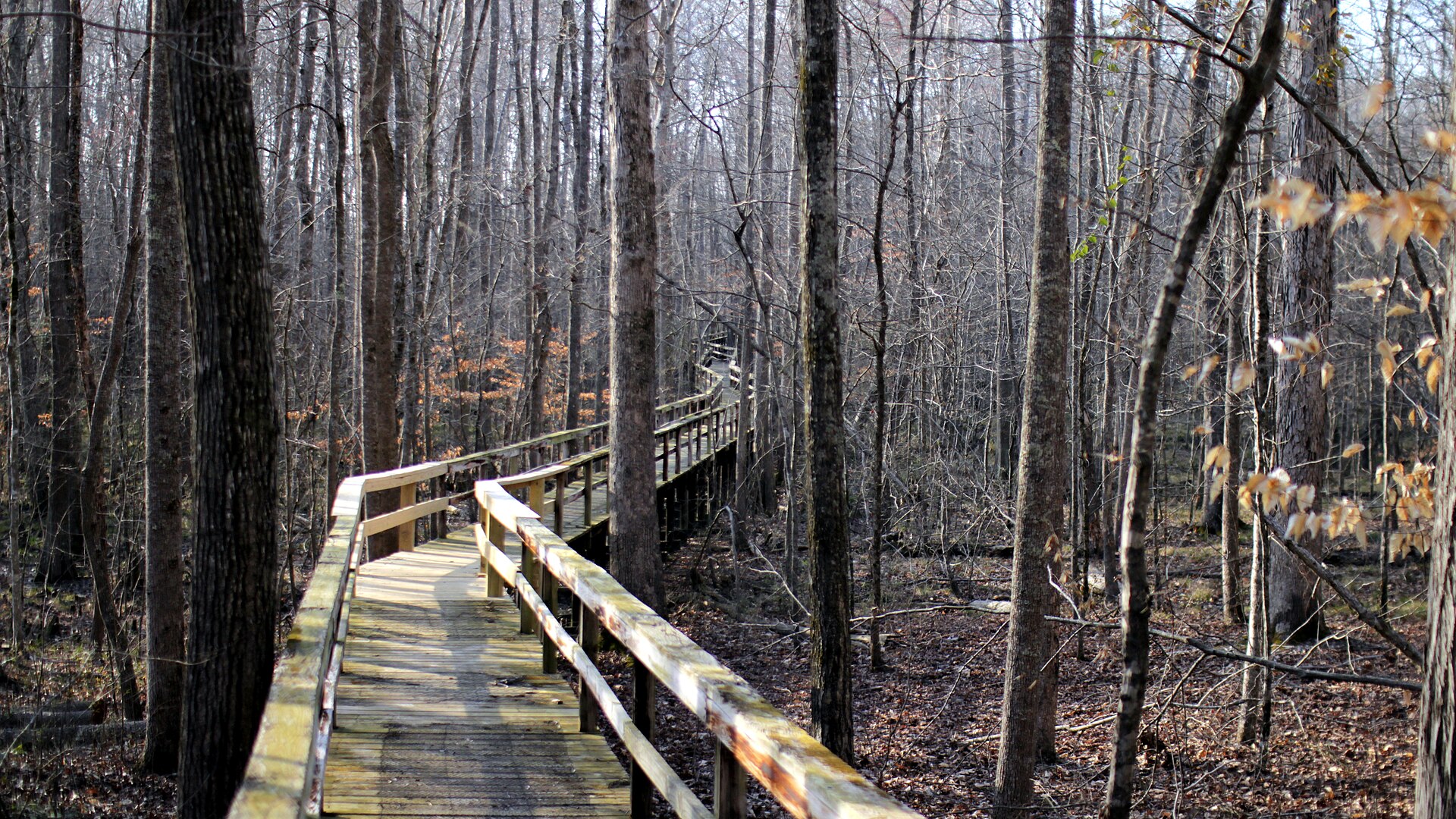 Big Hill Pond State Park