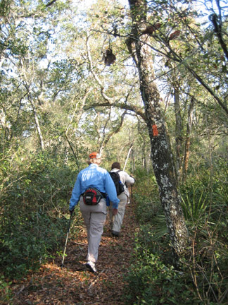 Florida Trail